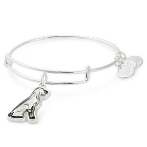 Alex and Ani Crystal Dog Bracelet